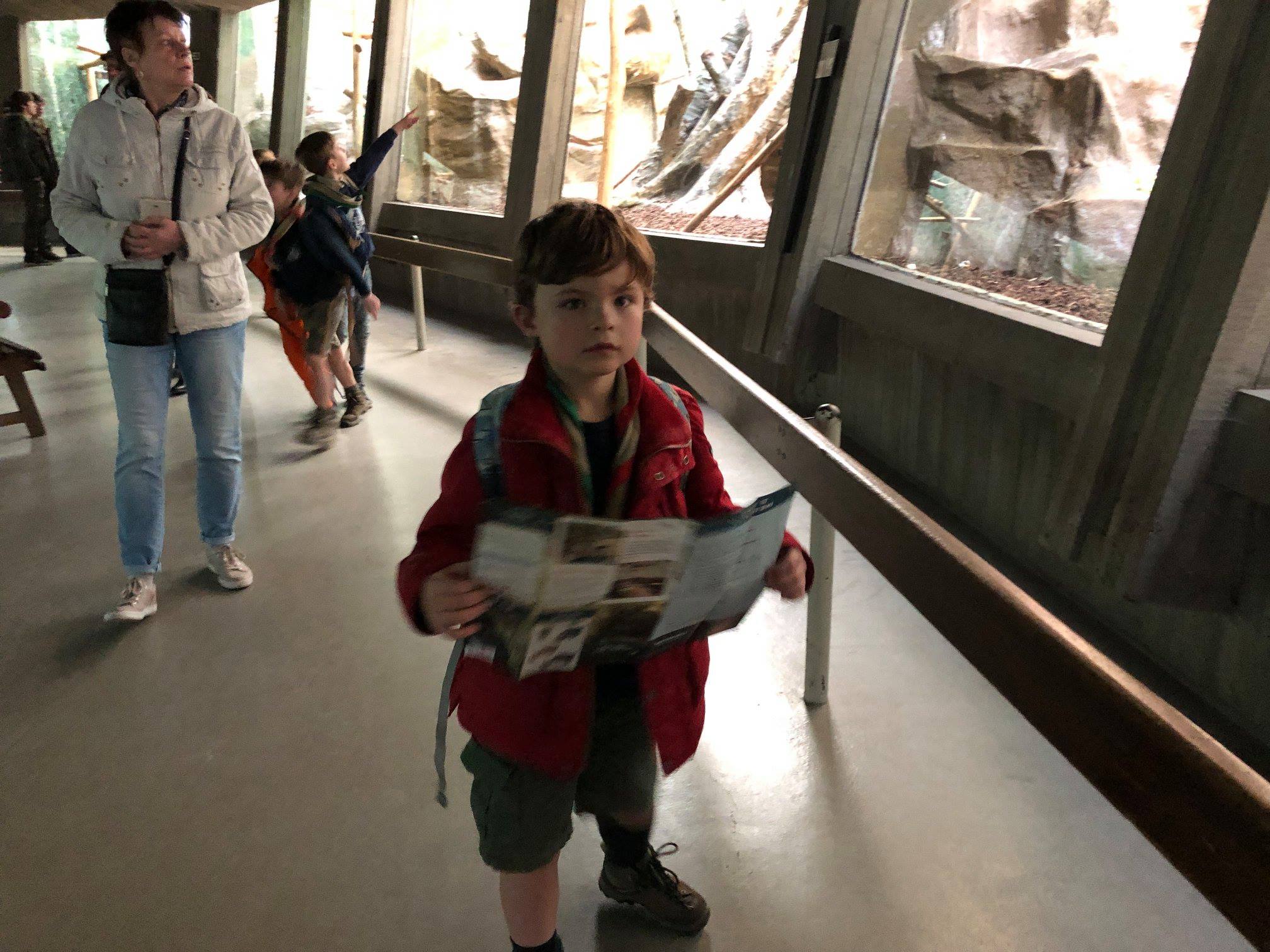 Sint-Martinus den XIIde - Zoo Antwerpen Kapoenen